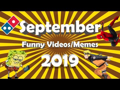 funny-videos-and-memes-of-september-2019