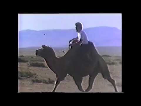 武田薬品 アリナミンA 「モンゴル・らくだレース」（1984年）　樋口康雄CM WORKS