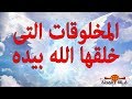 هل تعلم ما هى المخلوقات التى خلقها الله بيده ؟ دون سائر المخلوقات والحكمة من ذلك