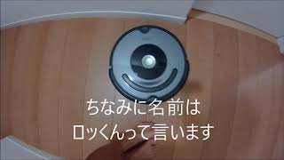 初登場！ルンバ643が我が家にやってきた！/ iRobot Roomba 643