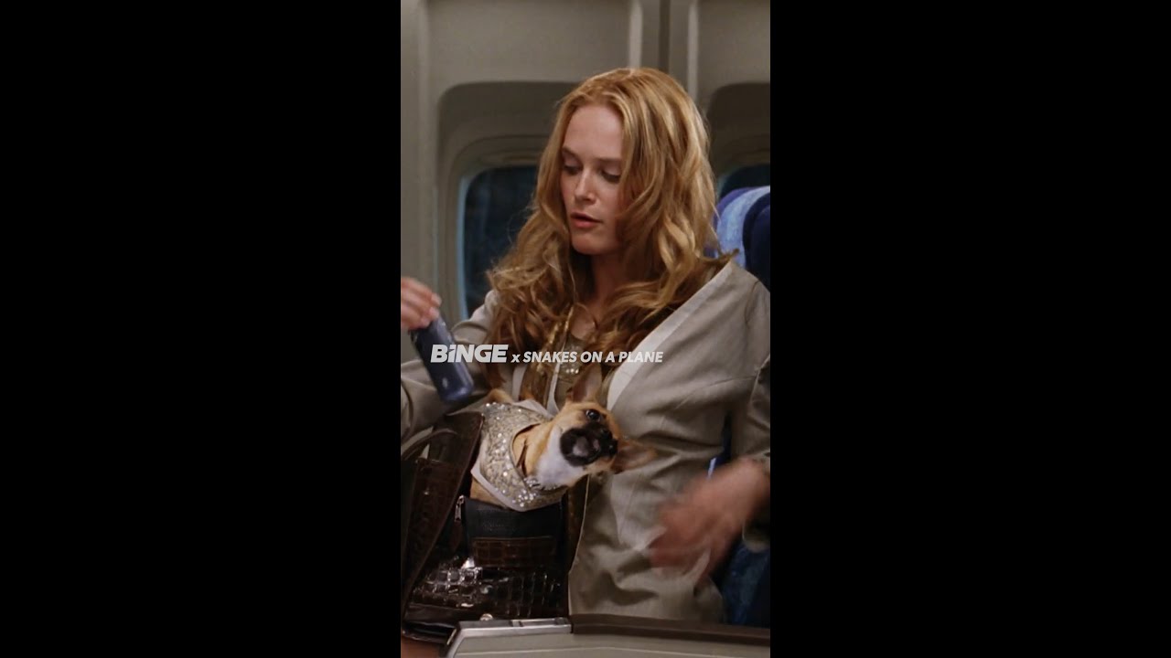 His hair plugs can't hurt you | Snakes on a Plane | BINGE