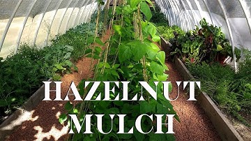 Mulching with Hazelnut Shells