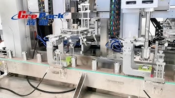 Tracking Type Screw Capping Machine Two Heads