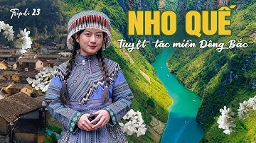 [HÀ GIANG] Ngắm tuyệt tác thiên nhiên & tham dự lễ hội huyền bí bậc nhất ở Lô Lô Chải | Tripdi 23