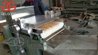 Macadamia Nut Chopping Cutting Machine From cara@machinehall.com
