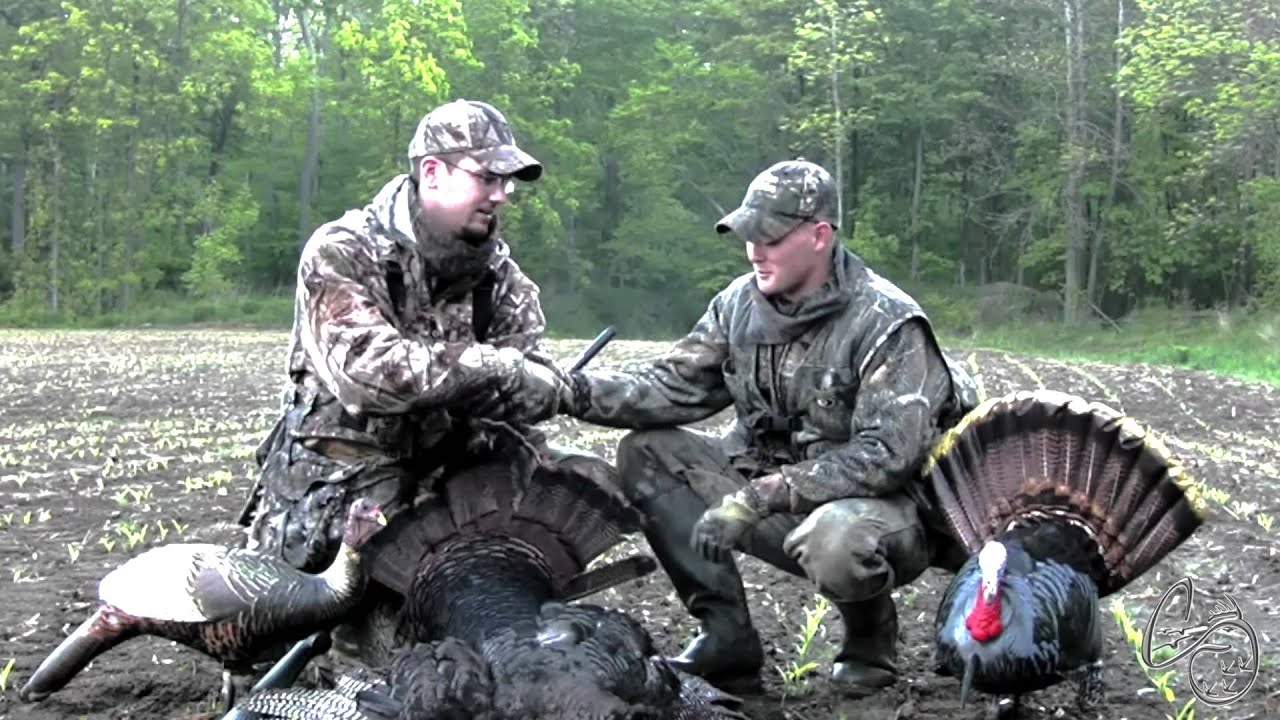 NY Turkey Hunt YouTube