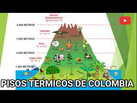 Video: ¿Los productos biológicos térmicos son una buena compra?