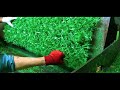 Artificial Grass Fence Panel Manufacturer  (العشب الجداري) - Saglam Fence