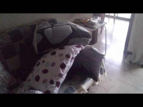 Donde esta Nicky