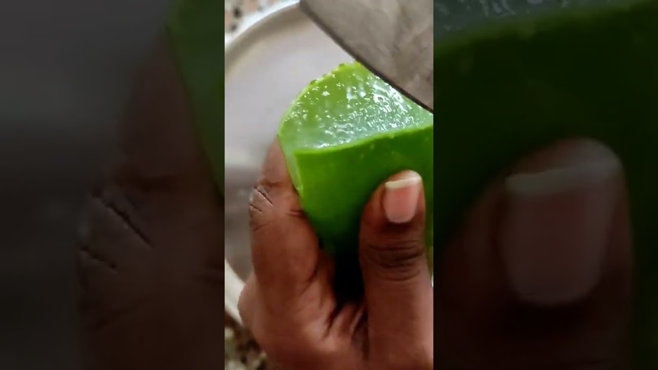 Aloe vera gel extraction