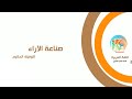 صناعة الآراء لتوفيق الحكيم