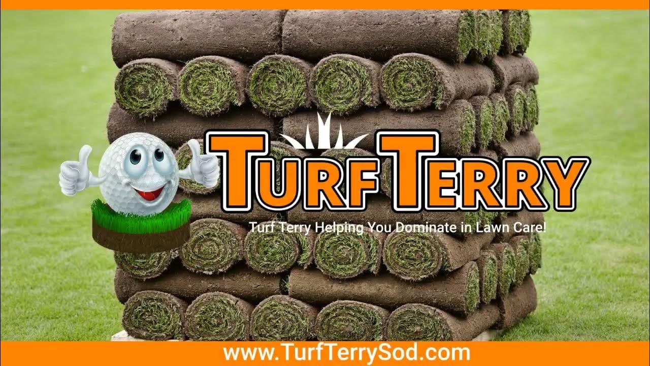 Sod Delivery & Pricing Bethel CT Turf Terry 4752226279 YouTube