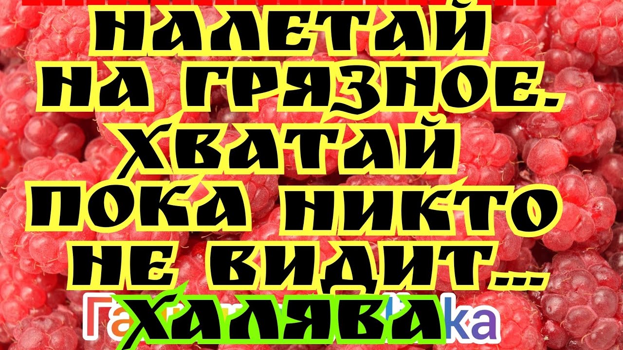 Закрой свое хавало