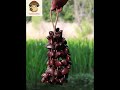 Weekend Deep Dive: Juju Duckfoot Vine Seed Shaker | 40-80 Hz Jungle Reset