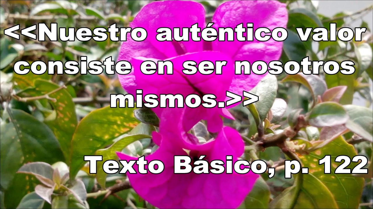 Sólo por hoy 30 de Septiembre (Sin Voz) adicciones tecnologicas