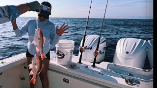 Catching Snapper Grouper Triggerfish Vermilion with A Slice of Life Fishing Ft Walton Beach FL