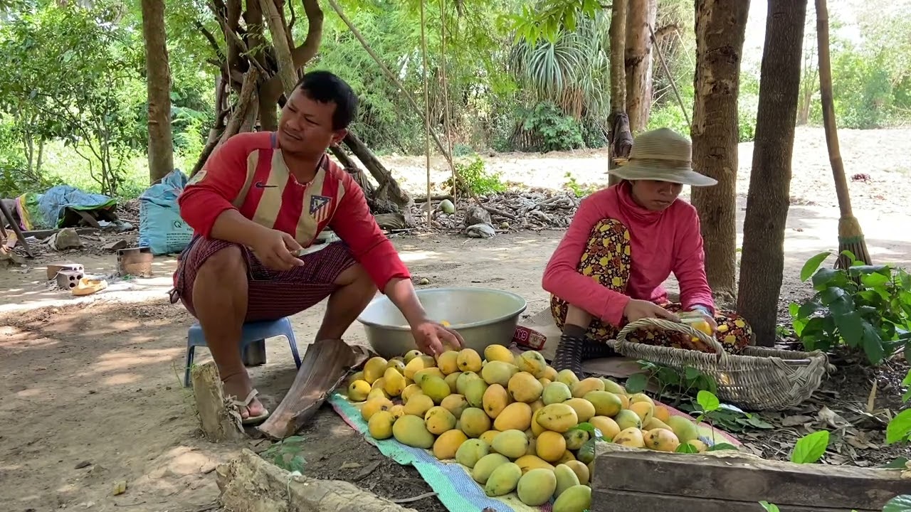 How To Make Sweet Sun Dried Mangoes