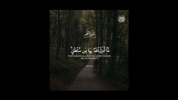 إِنْ هِيَ إِلَّا أَسْمَاءٌ سَمَّيْتُمُوهَا أَنتُمْ وَآبَاؤُكُم - القارئ أحمد خضر 🌿💚