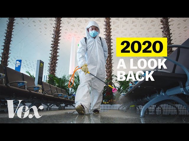 2020, in 7 minutes (Vox)