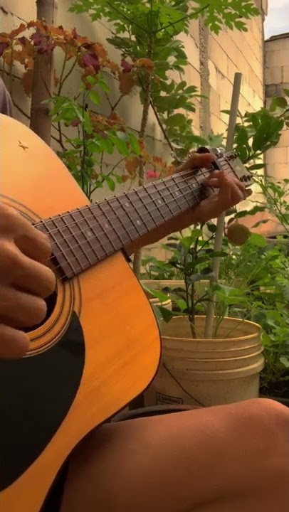 teenage mona lisa - alfie castley (guitar fingerstyle cover)