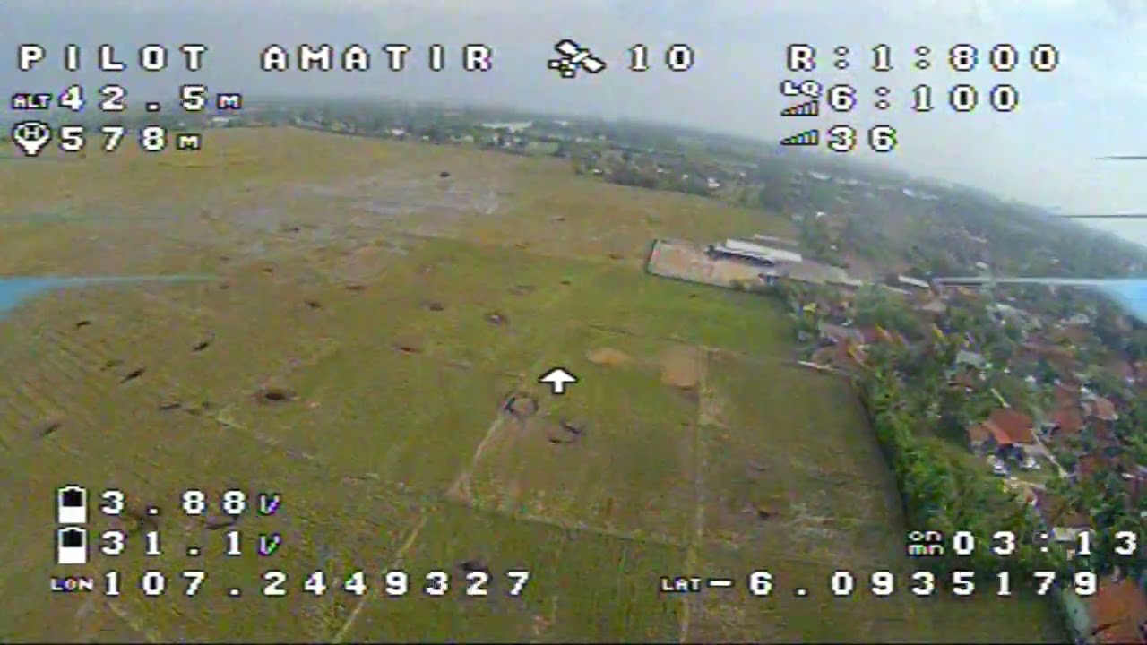 test flight vtx speedy bee tx800