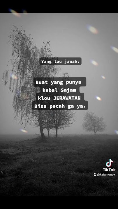 katak bhizer || story 30 detik | tawuran stm