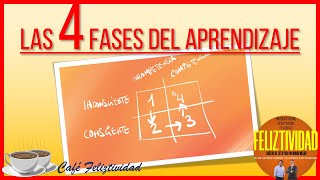 APRENDIZAJE Y CEREBRO: LAS CUATRO FASES DEL APRENDIZAJE