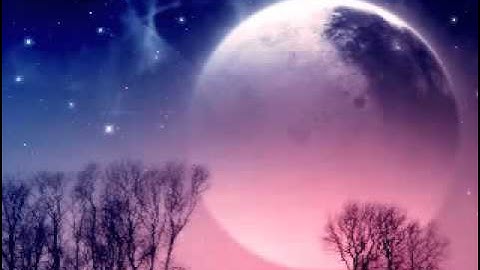 سوره البقره للشيخ محمد حمدي WMV   YouTube