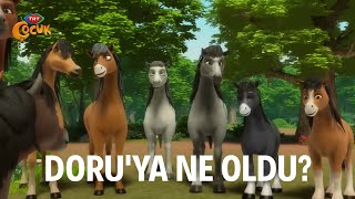 Yılkı Atı Doru Çizgi Filmine Ne Oldu?