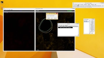 ImageJ How To Measure Mean Intensity In A Ring
