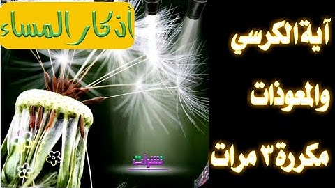 اية الكرسي و المعوذات مكررة | اذكار المساء