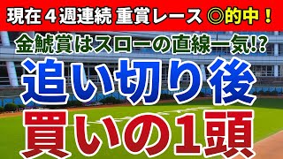 金鯱賞2020 はスローの直線一気！？【追い切り後／買いの1頭】公開！