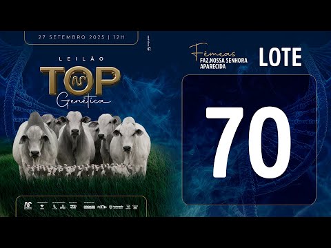 LOTE 70 FSM A2781