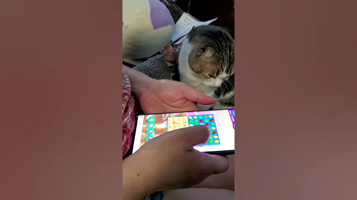 CAT NEEDS ATTENTION,  MOM STOP PLAYING...