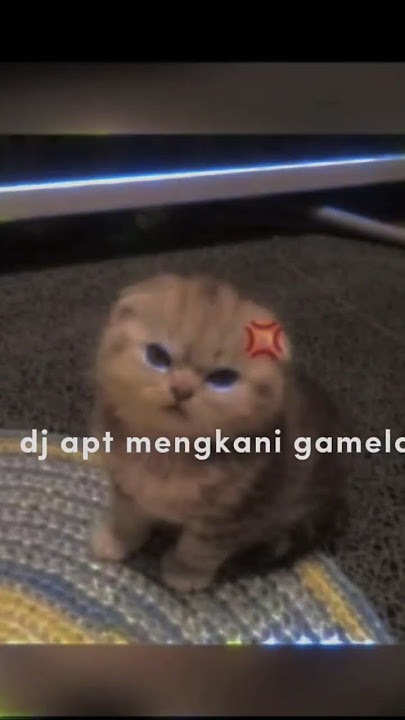 DJ APT MENGKANI GAMELAN (REMIX)DJ JARED