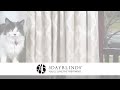 Automated Window Treatments | 3 Day Blinds