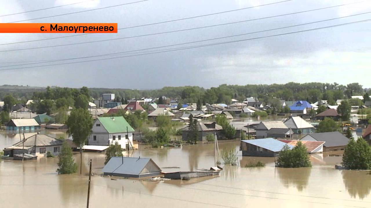 Погода алтайский край бийск 10 дней