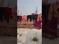 photography #viral #shorts