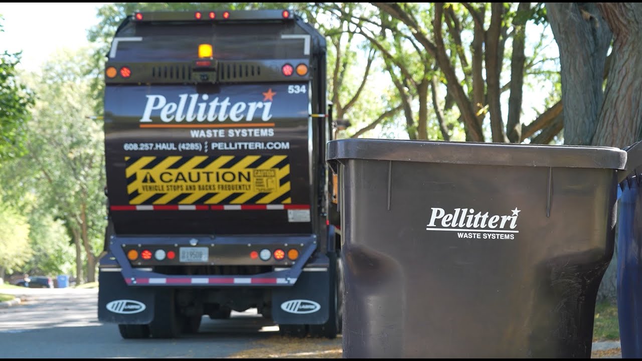 NEW: We Are Pellitteri