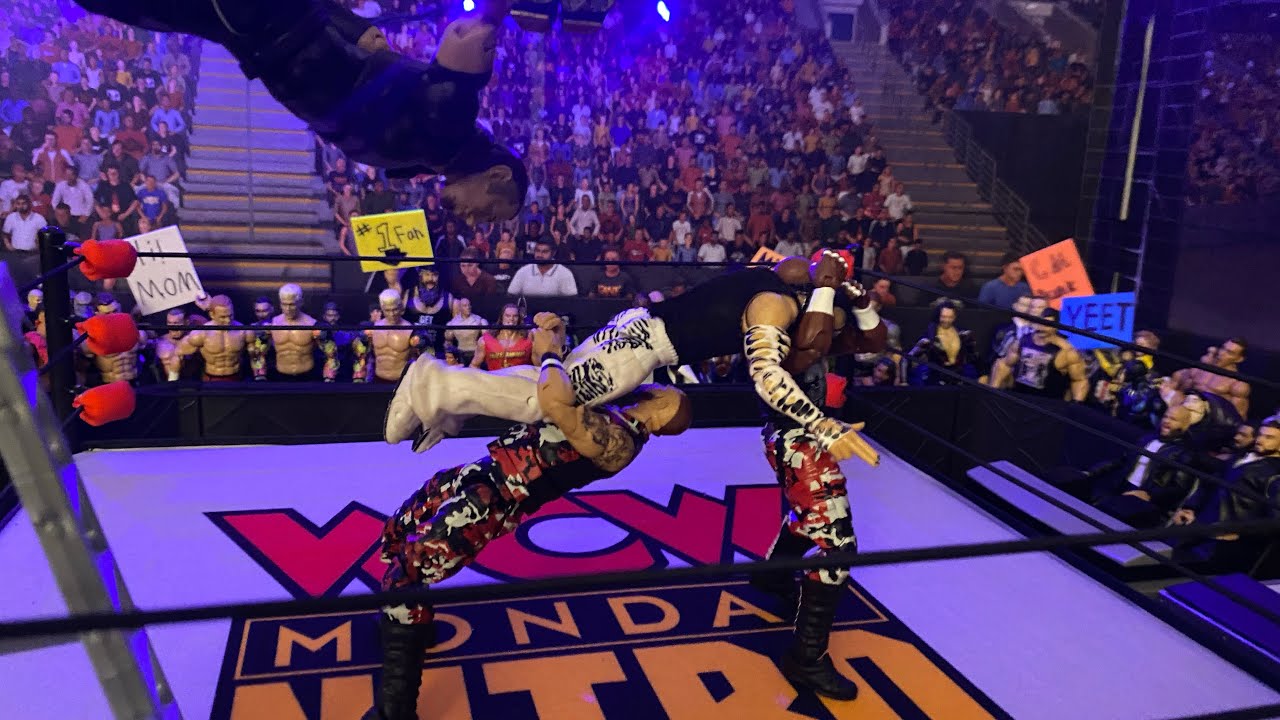 The Dudley boys versus the Hardy boys ladder match WNA championships