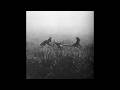 [free] novo amor x bon iver / indie folk type beat - "through your eyes"