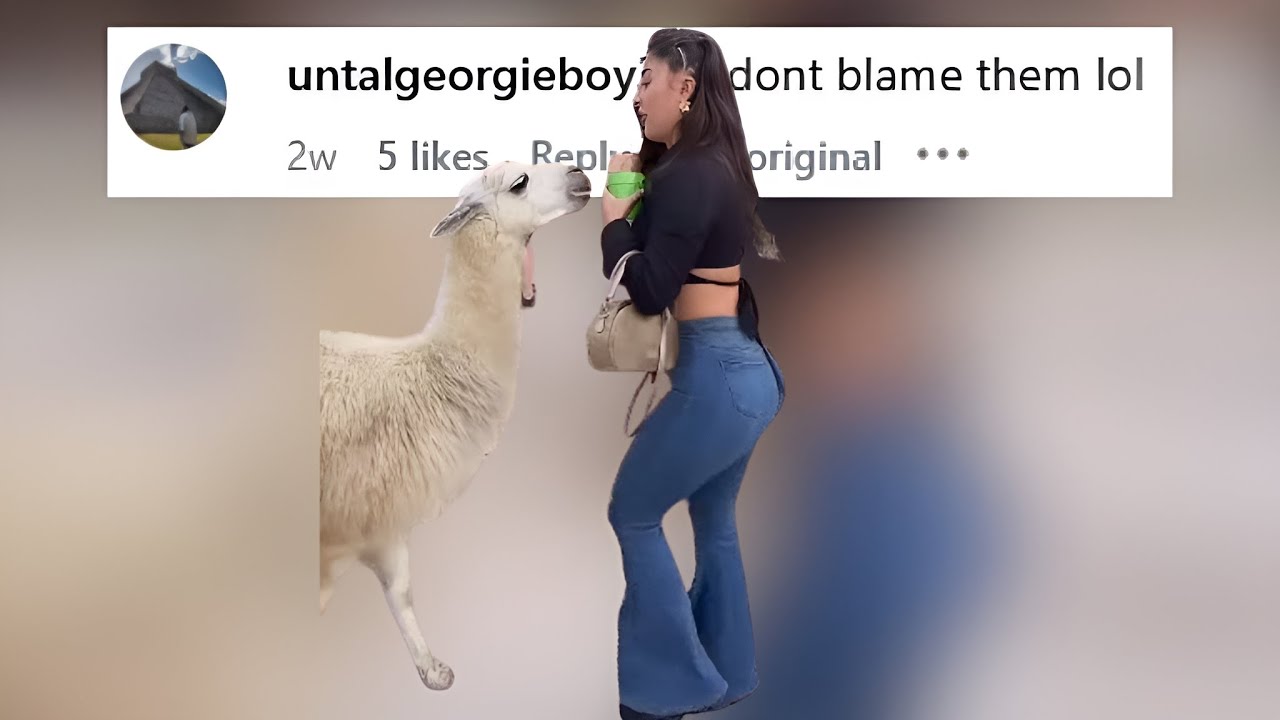 That's My Spirit Animal