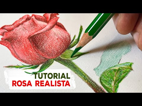 TUTORIAL I  Pintura de ROSA VERMELHA realista com lápis de cor 12 cores  Giotto (Tutorial completo)