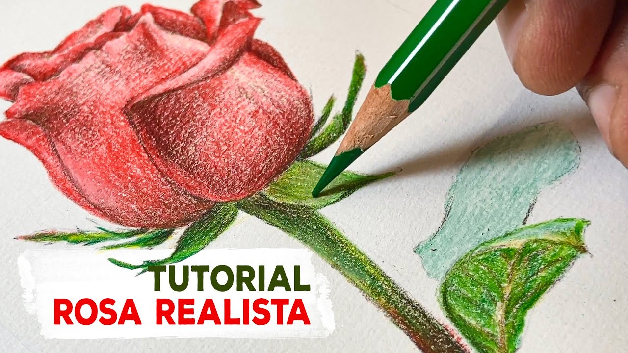 TUTORIAL I  Pintura de ROSA VERMELHA realista com lápis de cor 12 cores  Giotto (Tutorial completo)