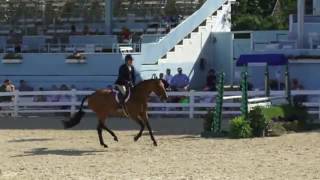 Video of A Million Reasons ridden by SCOTT STEWART from ShowNet!