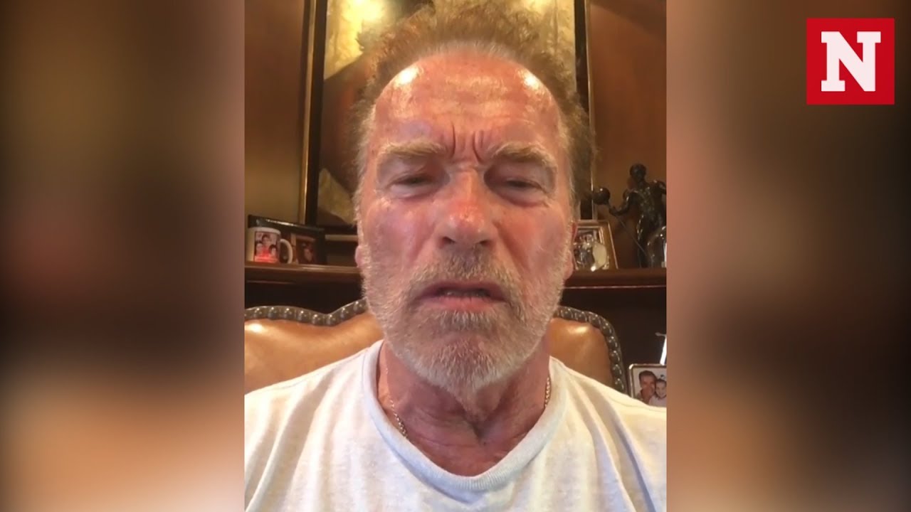 Arnold Schwarzenegger Calls Trump A 'Wet Noodle' After Putin Summit