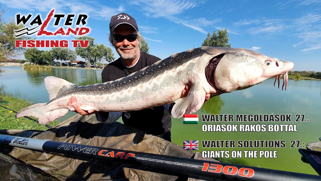 EPISODE 27: Óriások rakós bottal - Giants on the pole