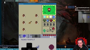 Lua Programming Devlog #506: November 29th, 2024