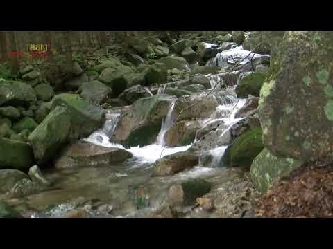 5 Minutes Relaxing Piano Music خمس دقايق موسيقا استرخاء بنغمات البيانو