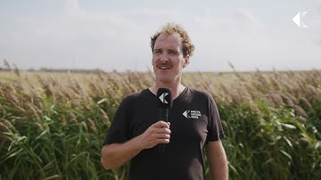 Maand van de Geschiedenis Reporters – Yerseke Moer